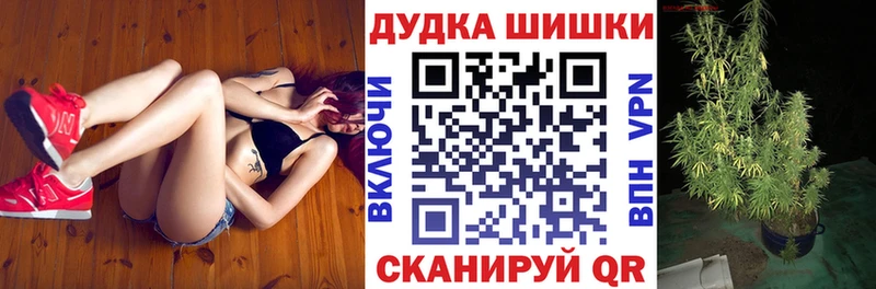 магазин  наркотиков  Нахабино  Канабис ГИДРОПОН 